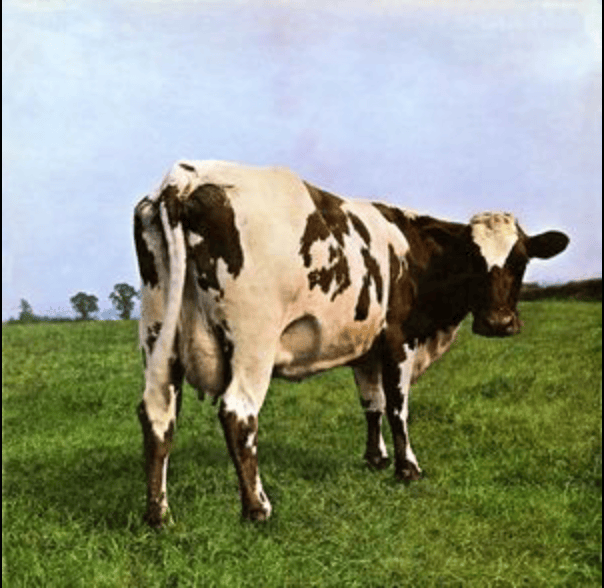Las portadas más icónicas de Pink Floyd: el arte que cambió la historia del rock 5 image 13